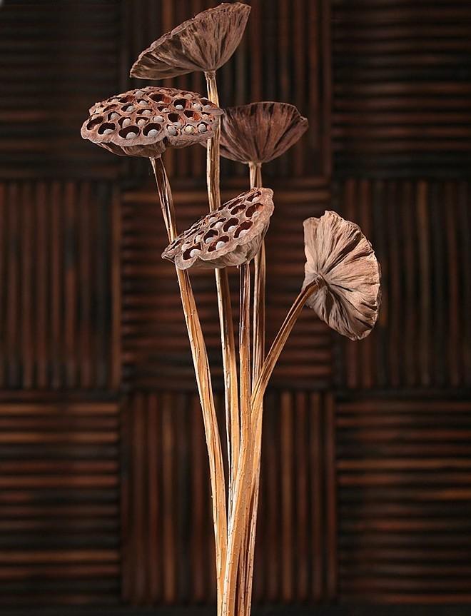 lotus seed pod flower Stemmed Lotus Pods, Dried Lotus Pods, Natural Decor, Rustic Decor – Silvia  Home Craft