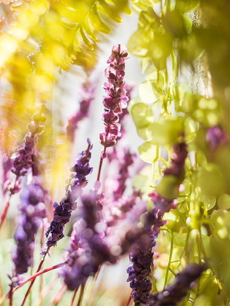 Lavender Flowers, Spring Artificial Floral for Dining Room, Bedroom Flower Arrangement Ideas, Simple Modern Floral Arrangement Ideas for Home Decoration-Silvia Home Craft