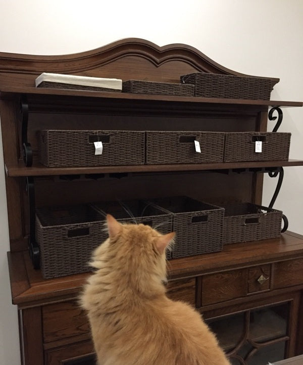 Buyer's Review on the Storage Baskets Received