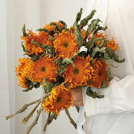 Handmade Crafts for Home
