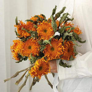 Handmade Crafts for Home