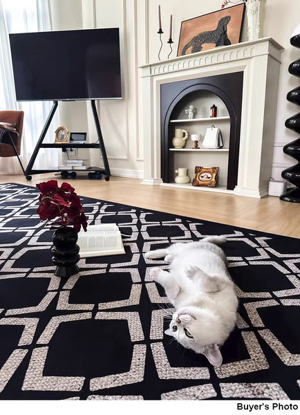 Abstract Contemporary Rugs for Bedroom, Modern Area Rugs under Sofa, Modern Black Rugs for Living Room, Dining Room Floor Rugs, Modern Carpets for Office-Silvia Home Craft