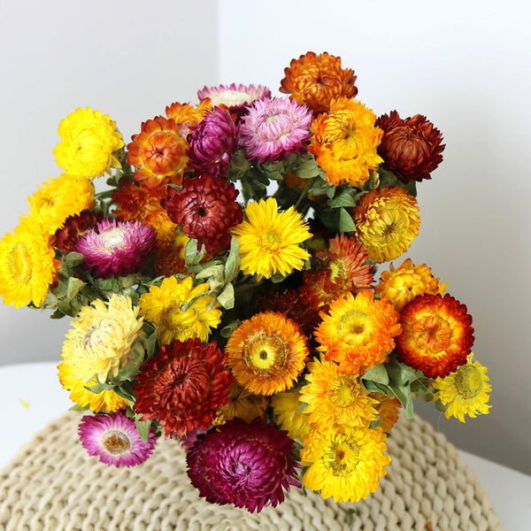 Natural Dried Daisy Flowers, Flower Arrangements, Natural Decorations, A Bunch of Dried Daisy Flowers, Handmade Artificial Flowers for Home Decor-Silvia Home Craft
