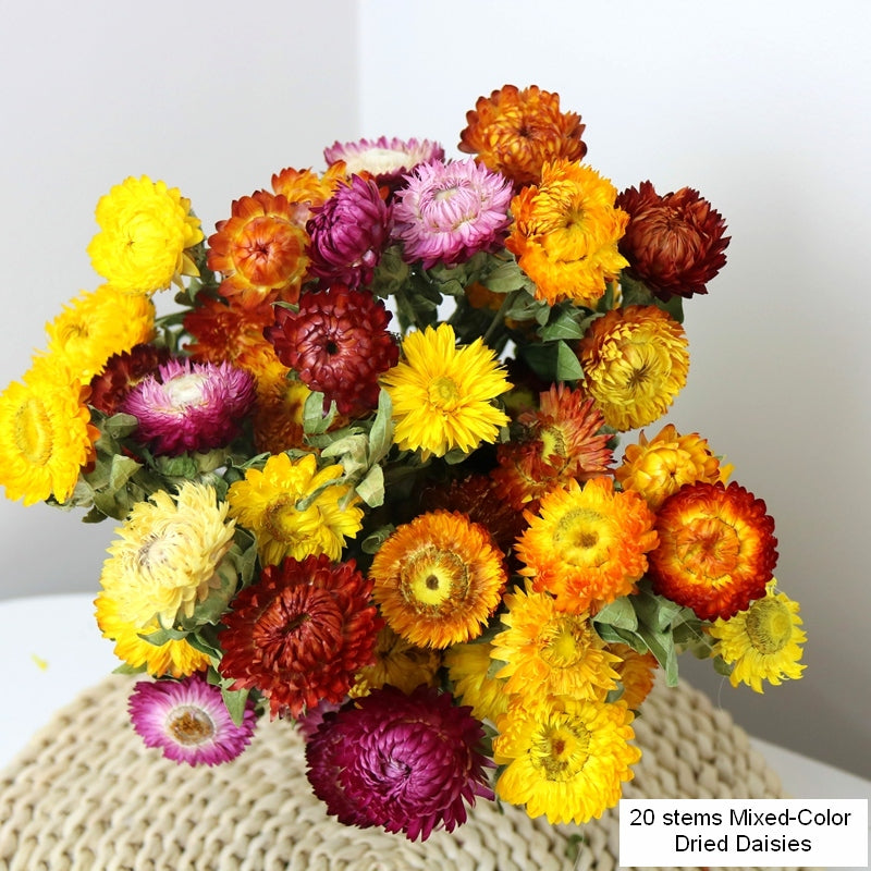 Natural Dried Daisy Flowers, Flower Arrangements, Natural Decorations, A Bunch of Dried Daisy Flowers, Handmade Artificial Flowers for Home Decor-Silvia Home Craft