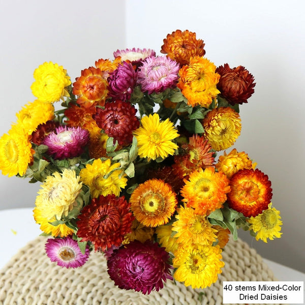 Natural Dried Daisy Flowers, Flower Arrangements, Natural Decorations, A Bunch of Dried Daisy Flowers, Handmade Artificial Flowers for Home Decor-Silvia Home Craft