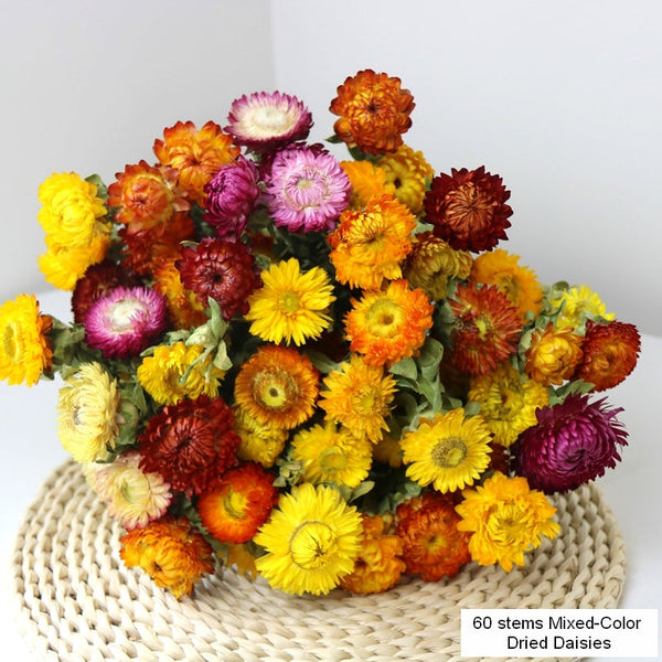 Natural Dried Daisy Flowers, Flower Arrangements, Natural Decorations, A Bunch of Dried Daisy Flowers, Handmade Artificial Flowers for Home Decor-Silvia Home Craft