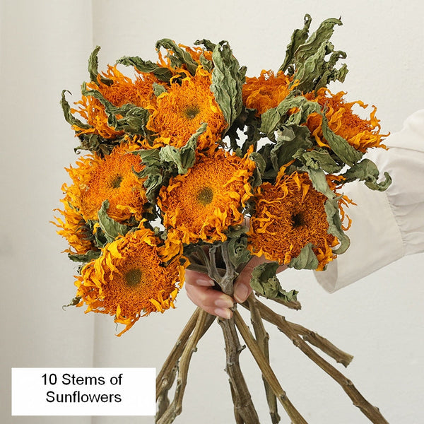 Natural Decorations, A Bunch of Sunflowers, Flower Arrangement, Handmade Artificial Flowers for Home Decor, Natural Dried Sunflower Stems-Silvia Home Craft