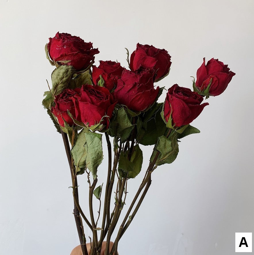 Rose Floral Bouquet, Dried Rose Flowers, Natural Dried Rose Flower Bunches, A Bunch Dried Rose Flowers, Red Yellow Purple Dried Rose Flowers-Silvia Home Craft
