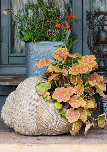 Snail Flowerpot for Garden Decoration, Cute Snail Statues, Garden Animal Statues, Unique Modern Garden Sculptures, Creative Villa Outdoor Gardening Ideas-Silvia Home Craft
