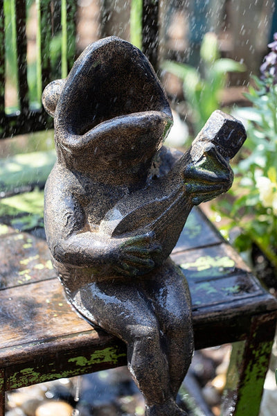 Garden Animal Statues, Unique Modern Garden Sculptures, Frog Flowerpot for Garden Decoration, Beautiful Cute Frog Statues, Creative Villa Outdoor Gardening Ideas-Silvia Home Craft