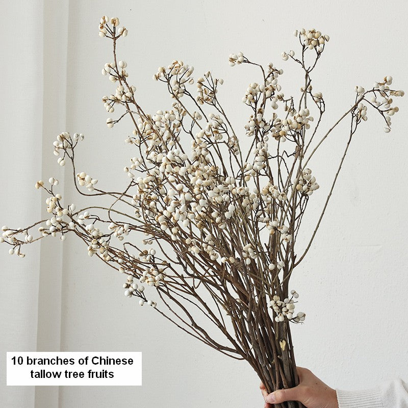 Dried Tree Twigs, Flower Arrangement, Dried Chinese Tallow Tree Twigs, Natural Decorations, Handmade Artificial Flower, Natural Dried Branches-Silvia Home Craft
