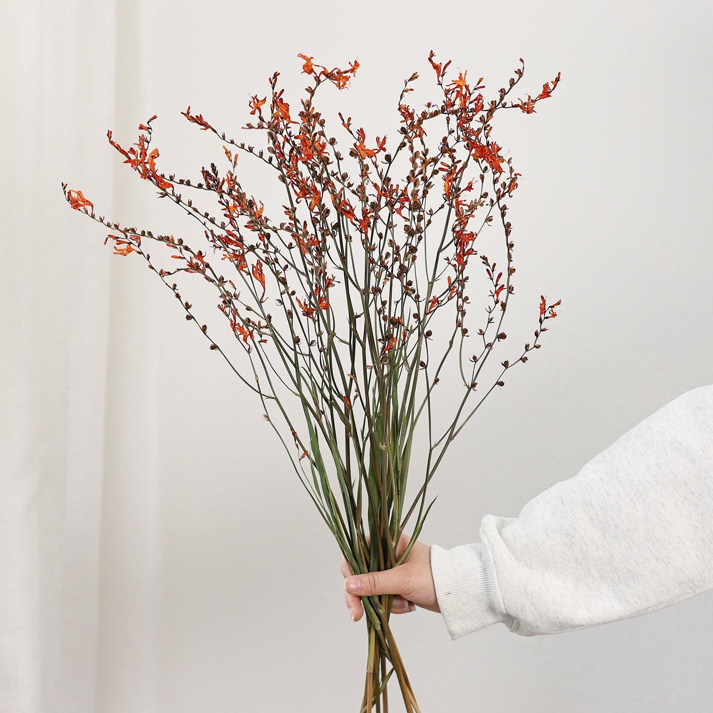Dried Fire Orchid Bouquet, Natural Decorations, Flower Arrangement, Handmade Artificial Flower, Natural Dried Flowers-Silvia Home Craft