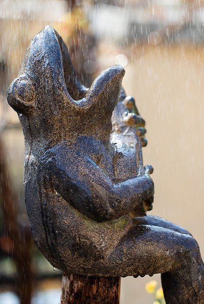 Garden Animal Statues, Unique Modern Garden Sculptures, Frog Flowerpot for Garden Decoration, Beautiful Cute Frog Statues, Creative Villa Outdoor Gardening Ideas-Silvia Home Craft