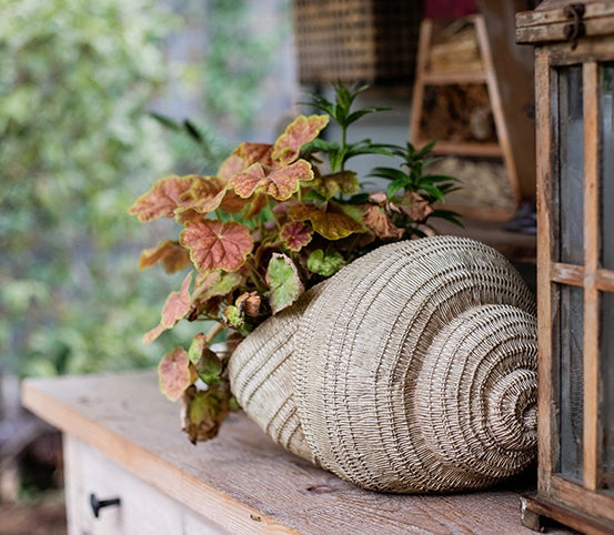 Snail Flowerpot for Garden Decoration, Cute Snail Statues, Garden Animal Statues, Unique Modern Garden Sculptures, Creative Villa Outdoor Gardening Ideas-Silvia Home Craft
