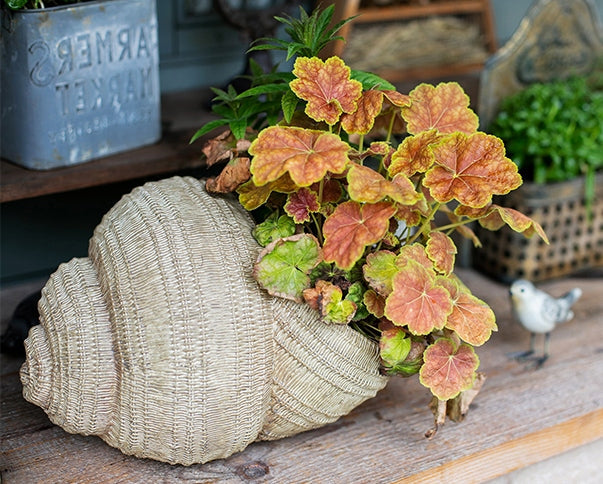 Snail Flowerpot for Garden Decoration, Cute Snail Statues, Garden Animal Statues, Unique Modern Garden Sculptures, Creative Villa Outdoor Gardening Ideas-Silvia Home Craft
