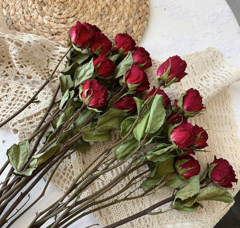 Natural Dried Rose Flower Bunches, Dried Rose Floral Bouquet, Dried Flowers, A Bunch Dried Rose Flowers, Red Yellow Purple Dried Rose Flowers-Silvia Home Craft