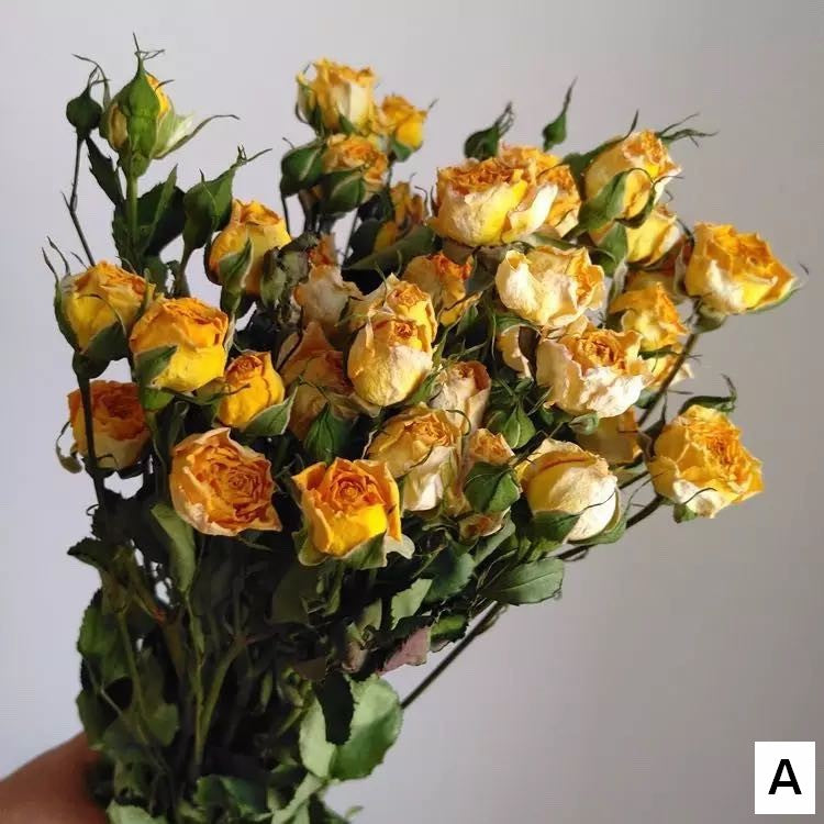 Red Yellow Purple Dried Rose Floral, Dried Rose Flower Bouquet, A Bouquet of Dried Rose Flowers, Natural Dried Rose Flower Bunches, A Bunch Dried Rose Flowers-Silvia Home Craft