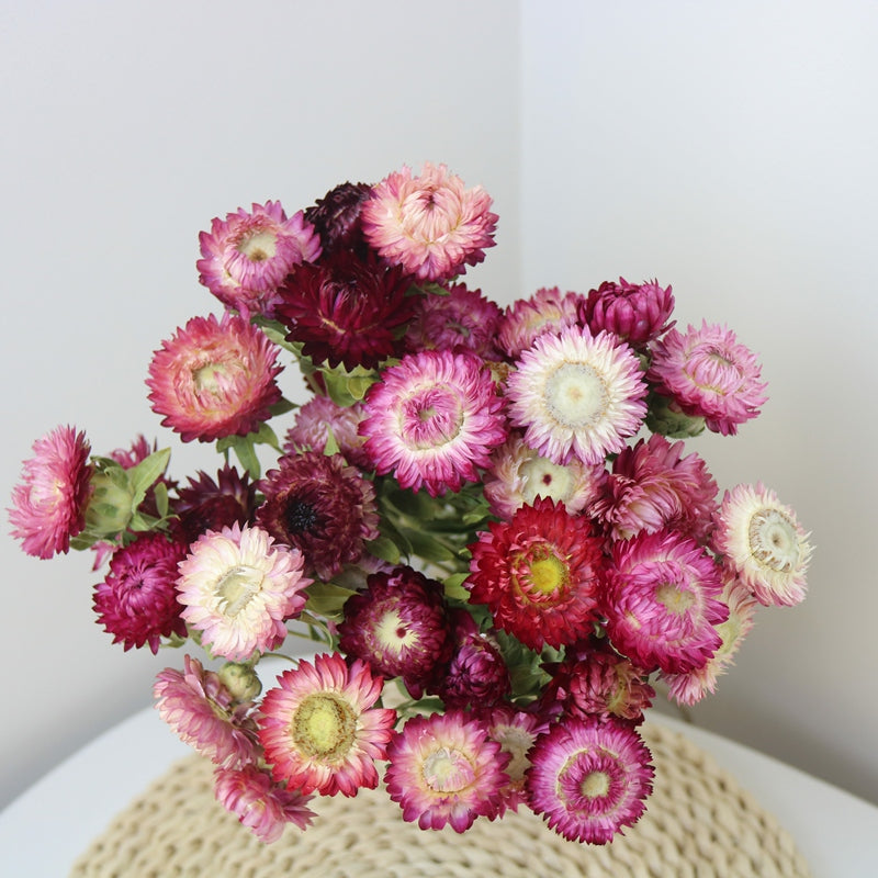 Flower Arrangements, Natural Dried Purple Daisy Flowers, Natural Decorations, A Bunch of Dried Daisy Flowers, Handmade Artificial Flowers for Home Decor-Silvia Home Craft