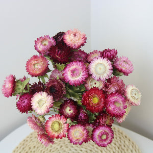 Flower Arrangements, Natural Dried Purple Daisy Flowers, Natural Decorations, A Bunch of Dried Daisy Flowers, Handmade Artificial Flowers for Home Decor-Silvia Home Craft