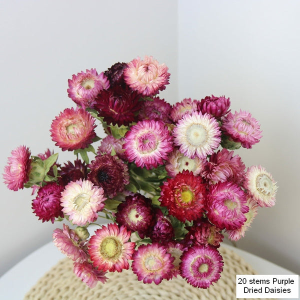 Flower Arrangements, Natural Dried Purple Daisy Flowers, Natural Decorations, A Bunch of Dried Daisy Flowers, Handmade Artificial Flowers for Home Decor-Silvia Home Craft