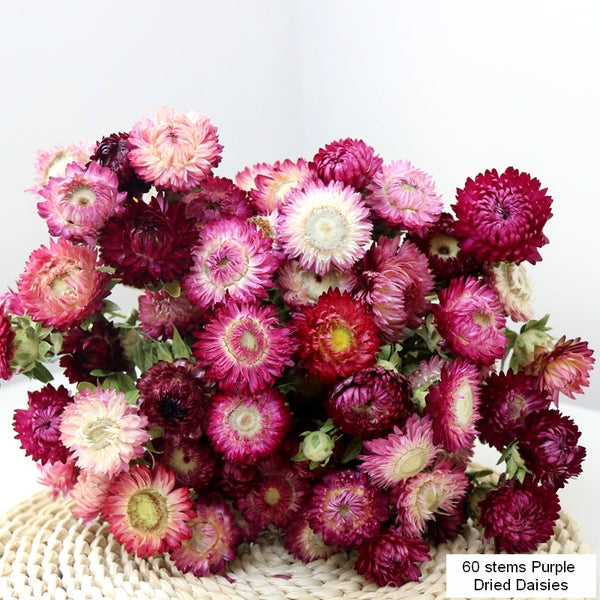 Flower Arrangements, Natural Dried Purple Daisy Flowers, Natural Decorations, A Bunch of Dried Daisy Flowers, Handmade Artificial Flowers for Home Decor-Silvia Home Craft