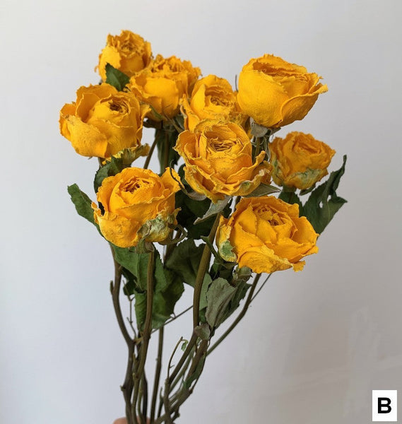 Rose Floral Bouquet, Dried Rose Flowers, Natural Dried Rose Flower Bunches, A Bunch Dried Rose Flowers, Red Yellow Purple Dried Rose Flowers-Silvia Home Craft
