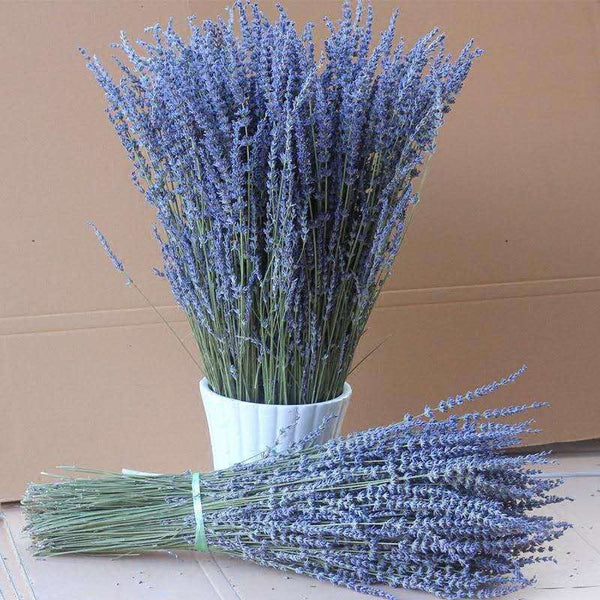 Natural Dried Lavender Flower Bouquet, Natural Dried Lavender Flowers, A Bunch of Dried Lavender Flowers, Handmade Artificial Flowers for Home Decor, Flower Arrangements-Silvia Home Craft