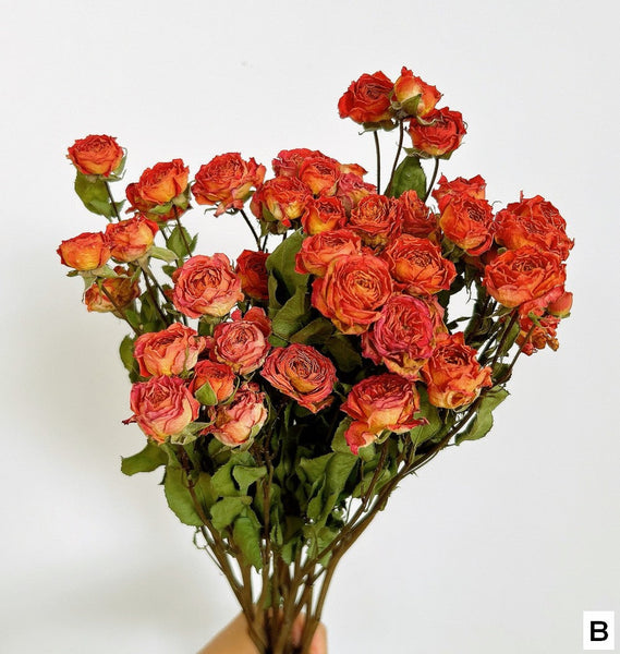 Red Yellow Purple Dried Rose Floral, Dried Rose Flower Bouquet, A Bouquet of Dried Rose Flowers, Natural Dried Rose Flower Bunches, A Bunch Dried Rose Flowers-Silvia Home Craft