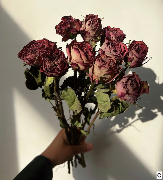 Rose Floral Bouquet, Dried Rose Flowers, Natural Dried Rose Flower Bunches, A Bunch Dried Rose Flowers, Red Yellow Purple Dried Rose Flowers-Silvia Home Craft