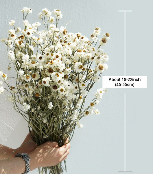 Flower Arrangements, Natural Dried Daisy Flower Bouquet, Natural Dried Daisy Flowers, A Bunch of Dried Daisy Flowers, Handmade Artificial Flowers for Home Decor-Silvia Home Craft