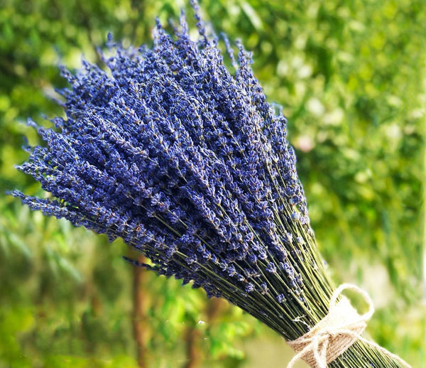 Natural Dried Lavender Flower Bouquet, Natural Dried Lavender Flowers, A Bunch of Dried Lavender Flowers, Handmade Artificial Flowers for Home Decor, Flower Arrangements-Silvia Home Craft