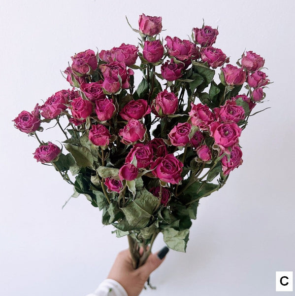 Red Yellow Purple Dried Rose Floral, Dried Rose Flower Bouquet, A Bouquet of Dried Rose Flowers, Natural Dried Rose Flower Bunches, A Bunch Dried Rose Flowers-Silvia Home Craft