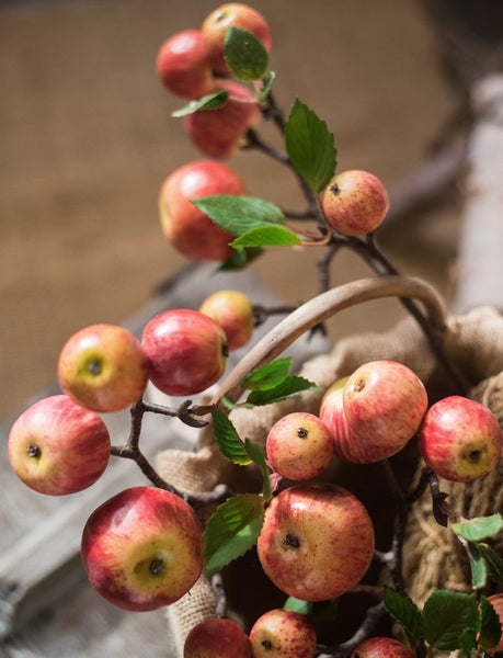 Apple Branch, Fruit Branch, Table Centerpiece, Beautiful Modern Flower Arrangement Ideas for Home Decoration, Autumn Artificial Floral for Dining Room-Silvia Home Craft