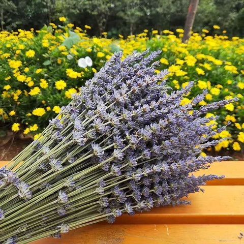 Natural Dried Lavender Flower Bouquet, Natural Dried Lavender Flowers, A Bunch of Dried Lavender Flowers, Handmade Artificial Flowers for Home Decor, Flower Arrangements-Silvia Home Craft