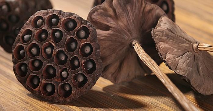 Stemmed Lotus Pods, Dried Lotus Pods, Natural Decor, Rustic Decor  Silvia  Home Craft