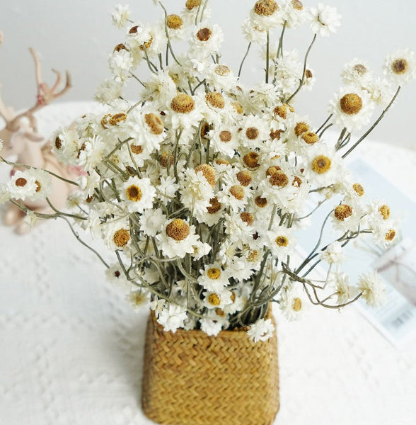 Flower Arrangements, Natural Dried Daisy Flower Bouquet, Natural Dried Daisy Flowers, A Bunch of Dried Daisy Flowers, Handmade Artificial Flowers for Home Decor-Silvia Home Craft