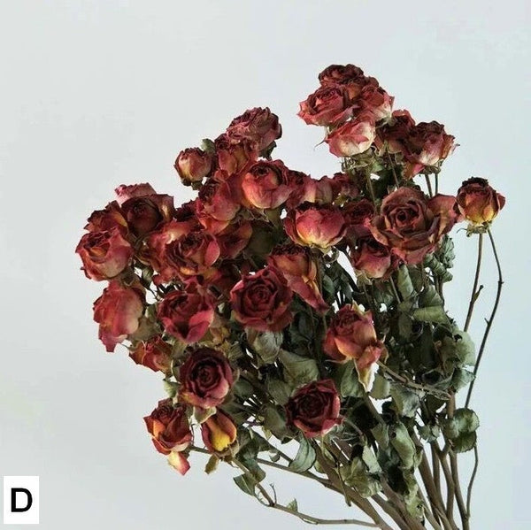 Red Yellow Purple Dried Rose Floral, Dried Rose Flower Bouquet, A Bouquet of Dried Rose Flowers, Natural Dried Rose Flower Bunches, A Bunch Dried Rose Flowers-Silvia Home Craft