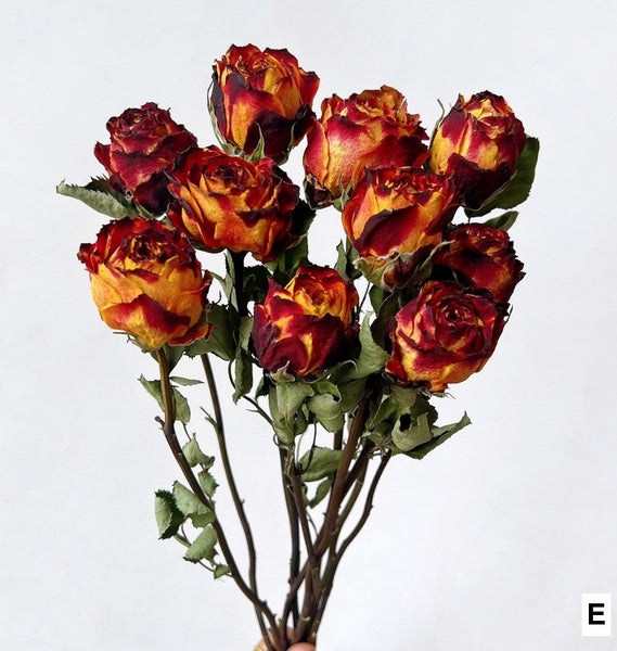 Rose Floral Bouquet, Dried Rose Flowers, Natural Dried Rose Flower Bunches, A Bunch Dried Rose Flowers, Red Yellow Purple Dried Rose Flowers-Silvia Home Craft