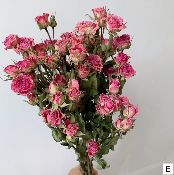 Red Yellow Purple Dried Rose Floral, Dried Rose Flower Bouquet, A Bouquet of Dried Rose Flowers, Natural Dried Rose Flower Bunches, A Bunch Dried Rose Flowers-Silvia Home Craft