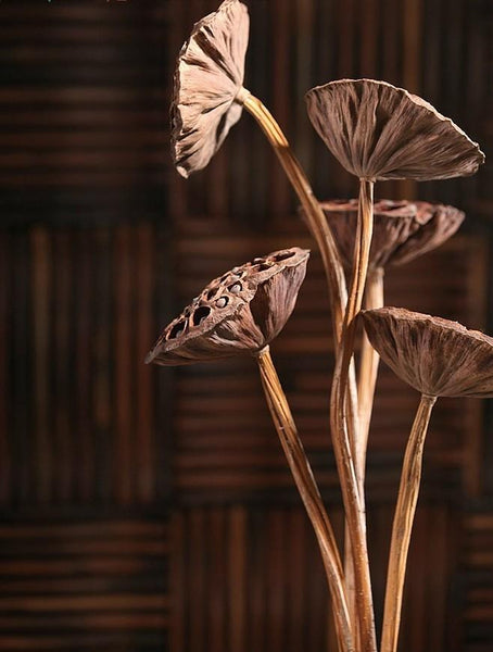 10 Stems Lotus Pods, Dried Lotus Pods, Natural Decor, Rustic Decor, Lotus Flower Arrangement-Silvia Home Craft