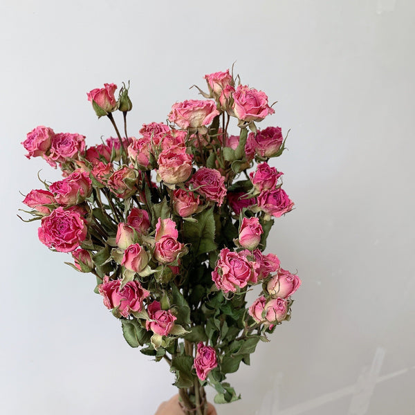 Red Yellow Purple Dried Rose Floral, Dried Rose Flower Bouquet, A Bouquet of Dried Rose Flowers, Natural Dried Rose Flower Bunches, A Bunch Dried Rose Flowers-Silvia Home Craft