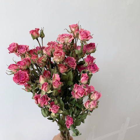 Red Yellow Purple Dried Rose Floral, Dried Rose Flower Bouquet, A Bouquet of Dried Rose Flowers, Natural Dried Rose Flower Bunches, A Bunch Dried Rose Flowers-Silvia Home Craft