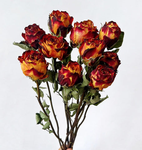 Rose Floral Bouquet, Dried Rose Flowers, Natural Dried Rose Flower Bunches, A Bunch Dried Rose Flowers, Red Yellow Purple Dried Rose Flowers-Silvia Home Craft