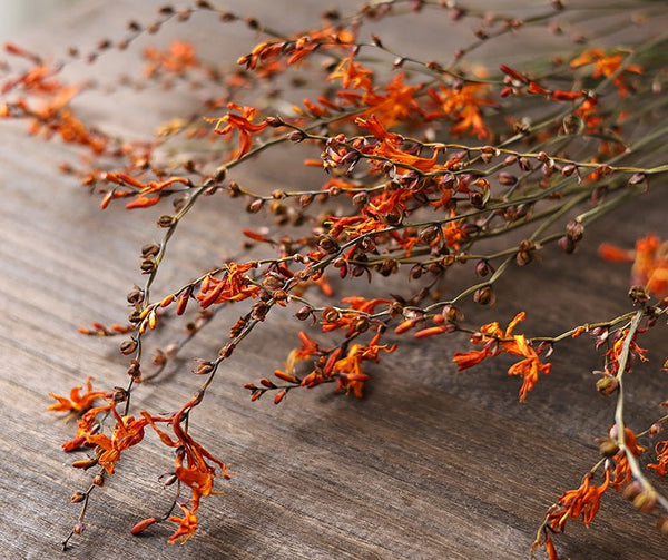 Dried Fire Orchid Bouquet, Natural Decorations, Flower Arrangement, Handmade Artificial Flower, Natural Dried Flowers-Silvia Home Craft
