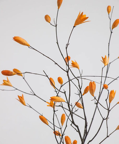 Magnolia Long Twigs, Natural Decorations, Dried Magnolia Branch, Flower Arrangement, Handmade Artificial Flower, Natural Dried Branches-Silvia Home Craft
