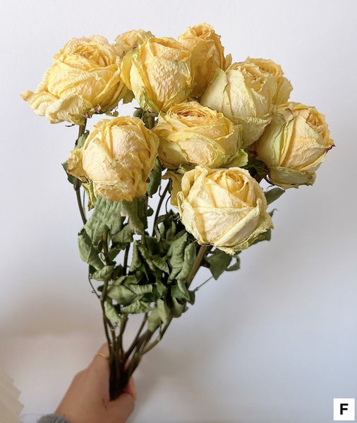 Natural Dried Rose Flower Bunches, Dried Rose Floral Bouquet, Dried Flowers, A Bunch Dried Rose Flowers, Red Yellow Purple Dried Rose Flowers-Silvia Home Craft