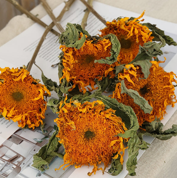 Natural Decorations, A Bunch of Sunflowers, Flower Arrangement, Handmade Artificial Flowers for Home Decor, Natural Dried Sunflower Stems-Silvia Home Craft