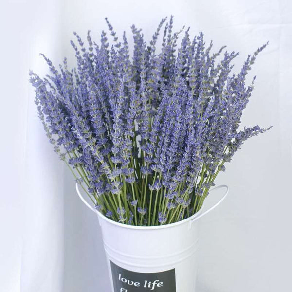 Natural Dried Lavender Flower Bouquet, Natural Dried Lavender Flowers, A Bunch of Dried Lavender Flowers, Handmade Artificial Flowers for Home Decor, Flower Arrangements-Silvia Home Craft