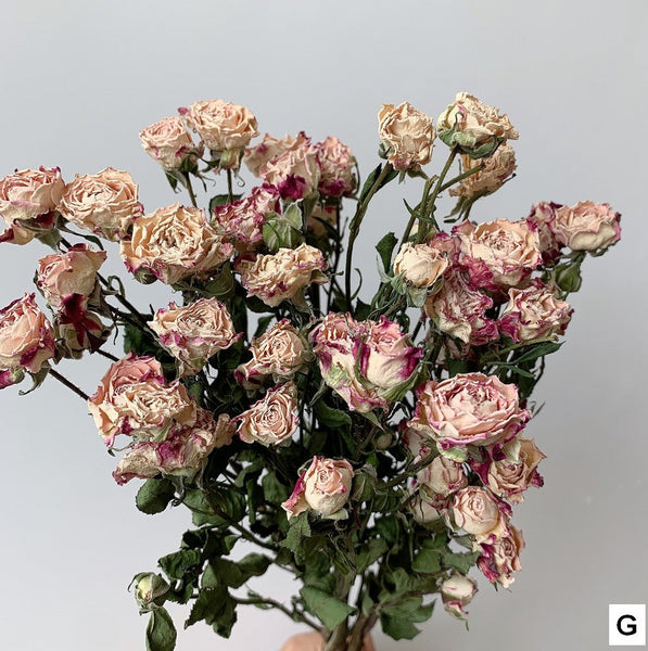 Red Yellow Purple Dried Rose Floral, Dried Rose Flower Bouquet, A Bouquet of Dried Rose Flowers, Natural Dried Rose Flower Bunches, A Bunch Dried Rose Flowers-Silvia Home Craft