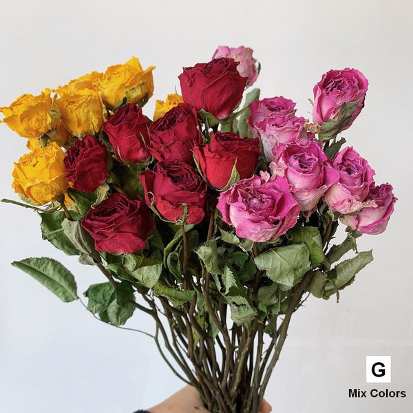 Rose Floral Bouquet, Dried Rose Flowers, Natural Dried Rose Flower Bunches, A Bunch Dried Rose Flowers, Red Yellow Purple Dried Rose Flowers-Silvia Home Craft